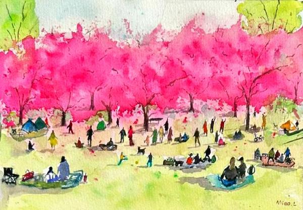 Sakura
