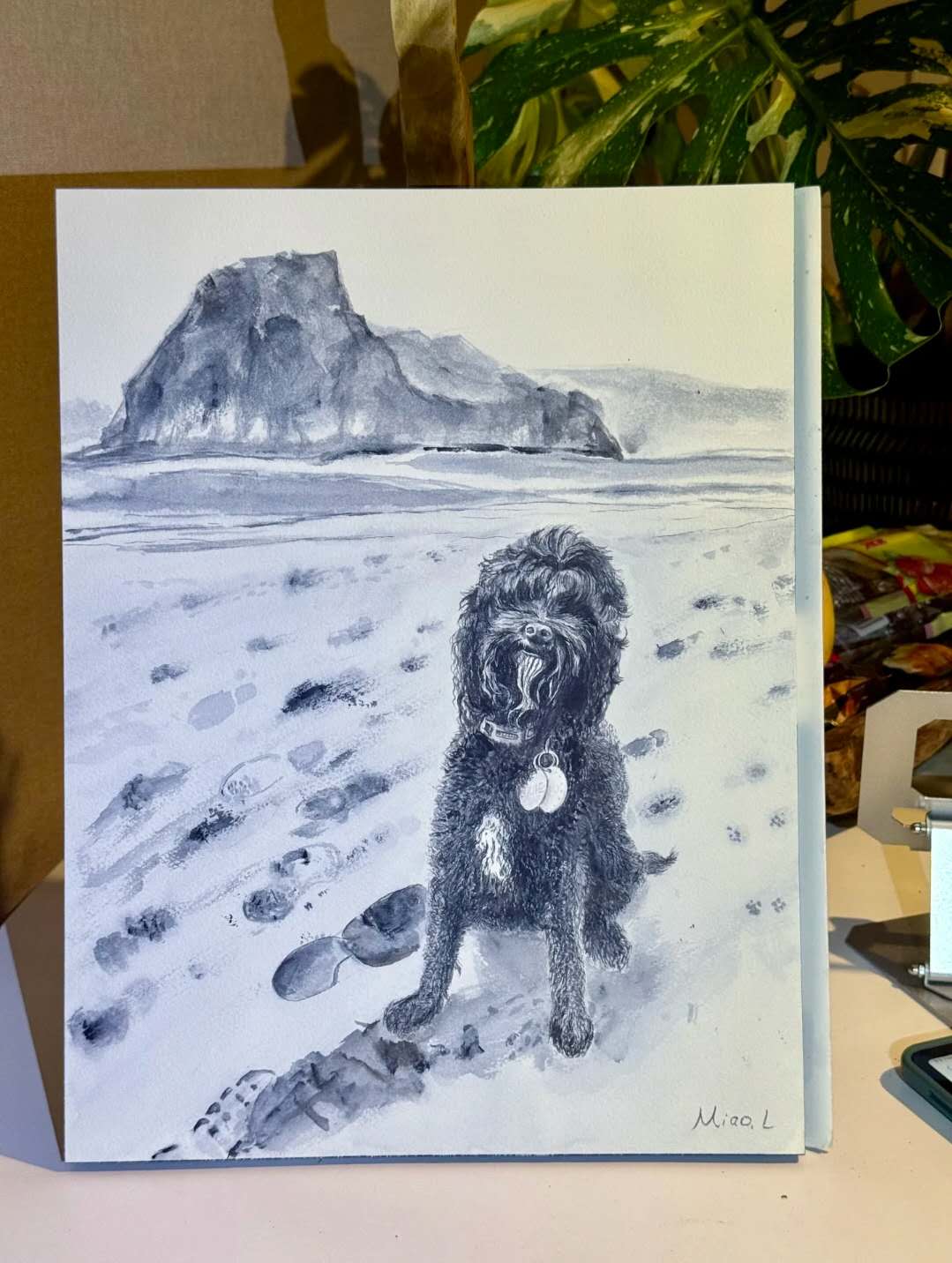 dog at the beach 2