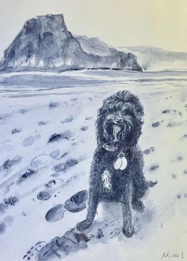 Dog At The Beach